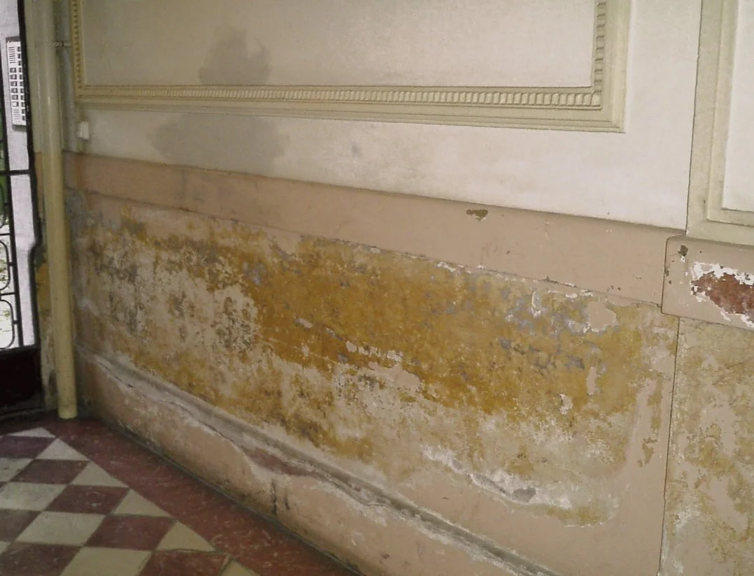 Soluções de humidade 1 Llanca Abans